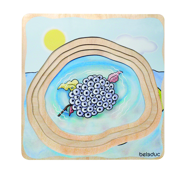 5-Lagenpuzzle Frosch, Holz, 28 Teile, ab 4 Jahre 5-Lagenpuzzle Frosch, Holz, 28 Teile, ab 4 Jahre