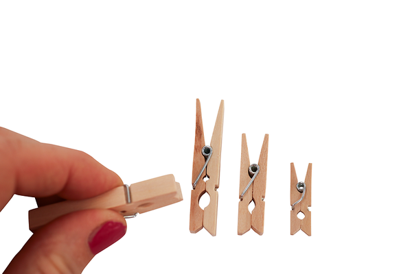 FOLIA Holzklammern, 2,5-5 cm, Großpackung, 480 Stück, Farbe wählbar