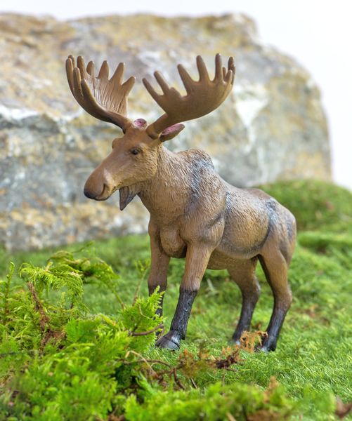 BETZOLD Nordamerikanische Tiere, 12-teiliges Set