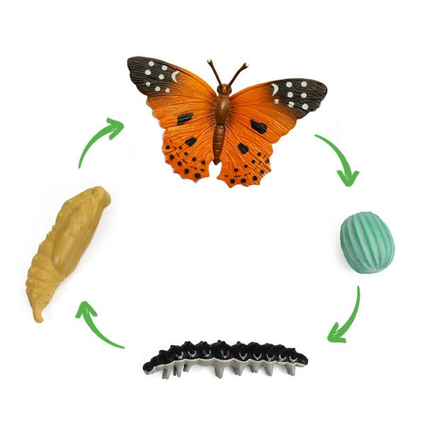 Schmetterling, Nahrungskette, Kleinkindspielzeug, Kreislauf, Puzzlespiel