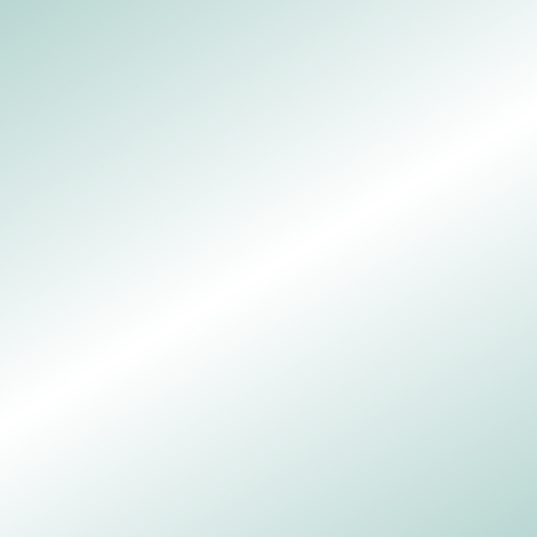 FOLIA Tonzeichenpapier 130 g/m², 50x70 cm, 10 bogen, silber glänzend FOLIA Tonzeichenpapier 130 g/m², 50x70 cm, 10 bogen, silber glänzend