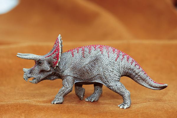 Triceratops, Dinosaurier, Aktionsfigur, Grau, Rote Akzente