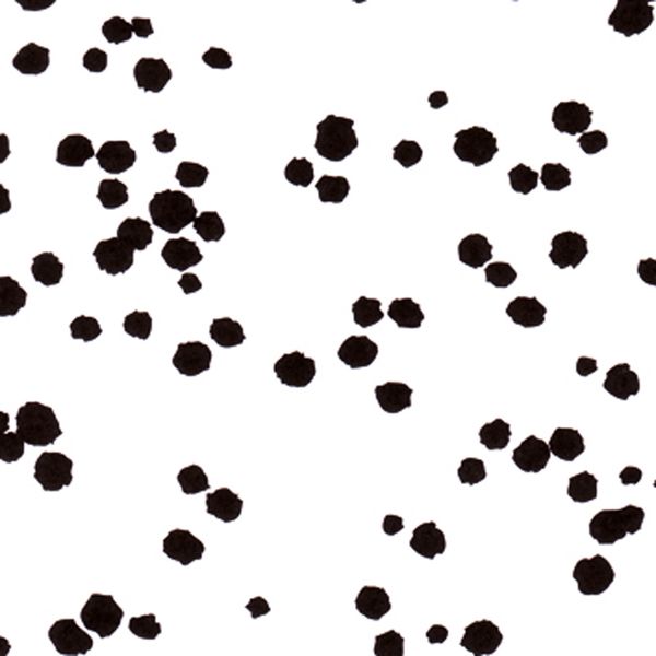 FOLIA Tierfell-Karton, 50x70 cm, 300 g/m², 10 Bogen