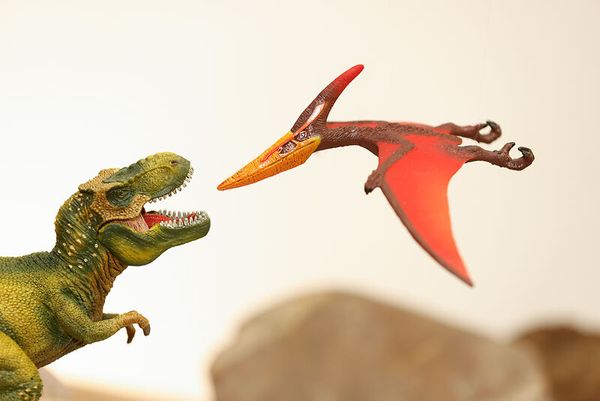 Spielzeug-Dinosaurier, Pteranodon, grüner Dinosaurier, roter Flugdinosaurier, Figuren