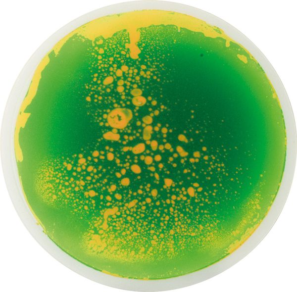 Runde Faszinationsmatten 5er Set Runde Faszinationsmatten 5er Set