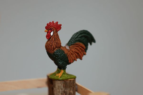 Schleich® Bauernhoftiere-Set, 9-teilig Schleich® Bauernhoftiere-Set, 9-teilig