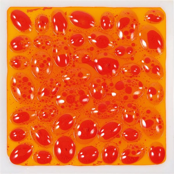 Sensorik Platten Liquid, 6 Stück