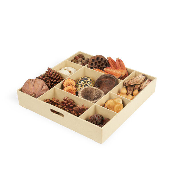 deko-Box, Naturmaterial, Hohlkugeln, Trockenblumen, Nussmischung