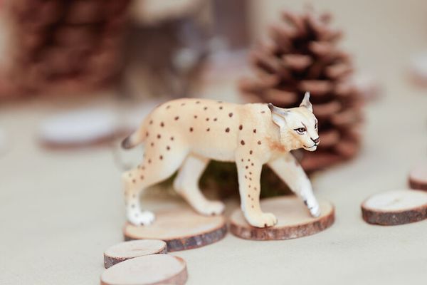 Schleich® Waldtiere-Set, 8-teilig Schleich® Waldtiere-Set, 8-teilig