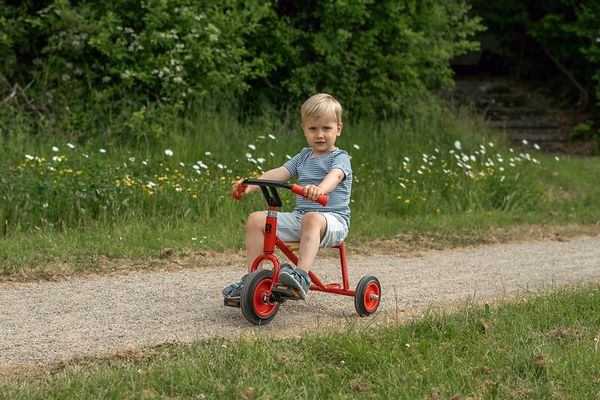 ROSE KiGa Dreirad, mit Vollreifen, Größe wählbar