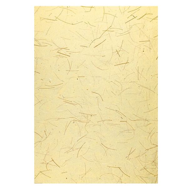 Naturpapier, 10 Motive, handgeschöpft, 33 x 23 cm
