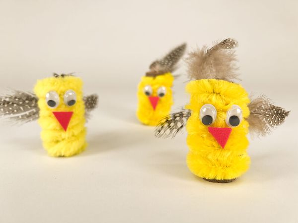 Dicke & flauschige Pfeifenputzer, bunt sortiert, 100 Stück, 50 cm