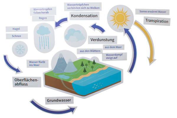 Wasserkreislauf, Lehrgrafik, Wasserverdunstung, Niederschlag, Wasserdampf