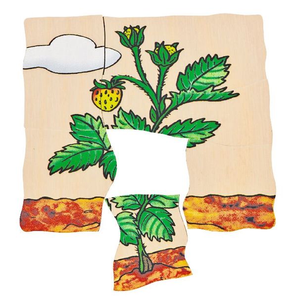 Lagen-Puzzle Erdbeere, 30 Teile, Holz, ab 4 Jahre Lagen-Puzzle Erdbeere, 30 Teile, Holz, ab 4 Jahre