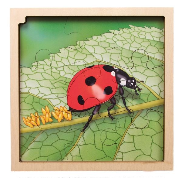 Circle of life Puzzle, Marienkäfer, Holz, 86 Teile, ab 3 Jahre Circle of life Puzzle, Marienkäfer, Holz, 86 Teile, ab 3 Jahre