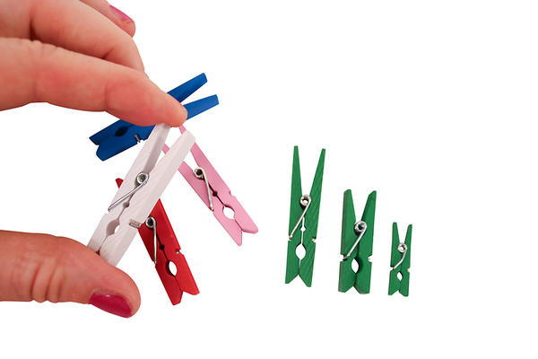 FOLIA Holzklammern, 2,5-5 cm, Großpackung, 480 Stück, Farbe wählbar