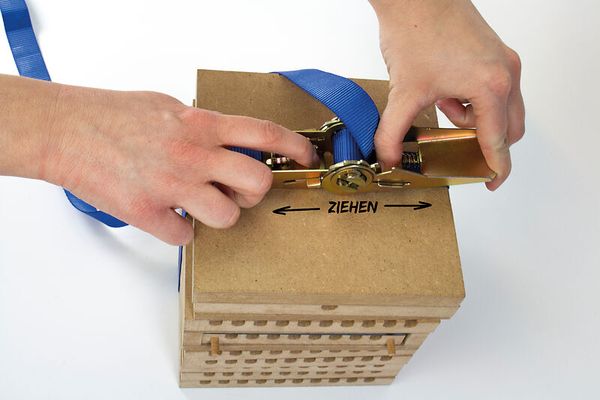 Zuchtset Wildbienen, 5-tlg.