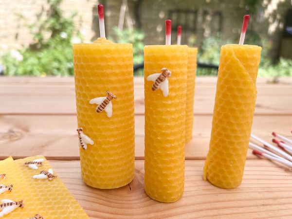 Bienenwachswabenset, 50-teilig, Docht und Wachsbienen