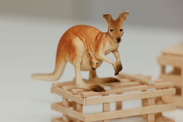 Schleich® Safari-Set, 12-teilig Schleich® Safari-Set, 12-teilig