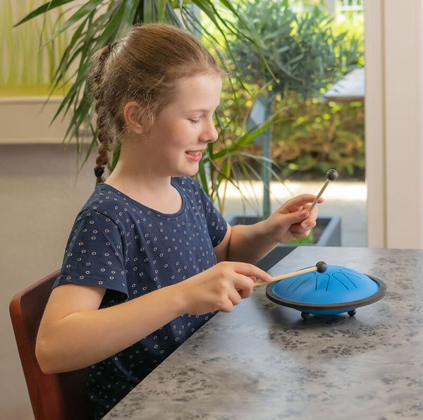 Stahlzungentrommel Tongo-go versch. Varianten Stahlzungentrommel Tongo-go versch. Varianten