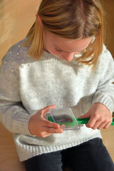 Bekleidung, Strickwaren, Pullover, Pinsel, Werkzeug