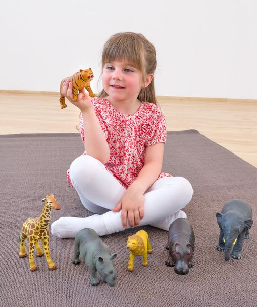 BETZOLD Wilde Tiere, 6-teiliges Set