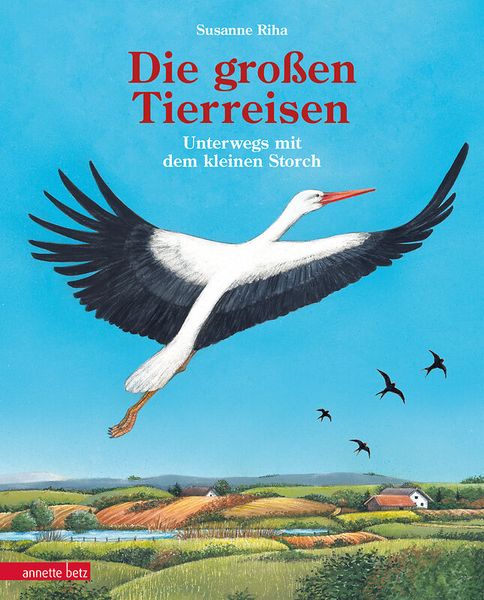 Schulbuch, Kinderbuch, Vogel, Storch, Flug