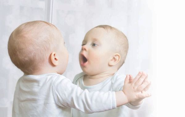 Korpusmöbel-Zubehör Spiegelrückwand Korpusmöbel-Zubehör Spiegelrückwand