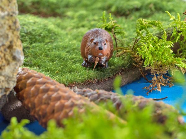 BETZOLD Nordamerikanische Tiere, 12-teiliges Set