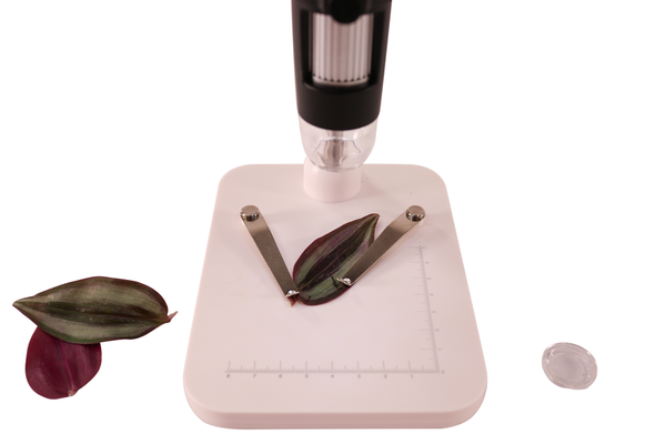 Digitales Mikroskop mit 4,3 Zoll LCD-Display, 720 Pixel, 1000-fache Vergrößerung Digitales Mikroskop mit 4,3 Zoll LCD-Display, 720 Pixel, 1000-fache Vergrößerung