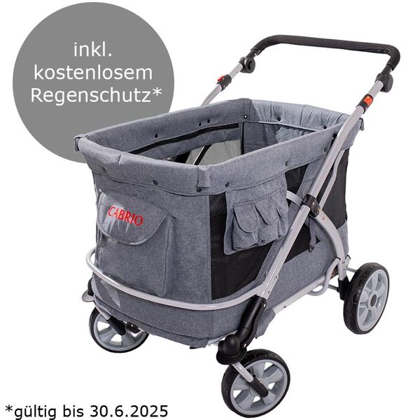Cabrio Krippenwagen, 4-Sitzer (SONDERANGEBOT: inkl. kostenlosem Regenschutz)