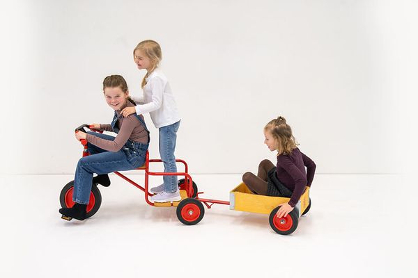 ROSE Anhänger, Größe und Bereifung wählbar