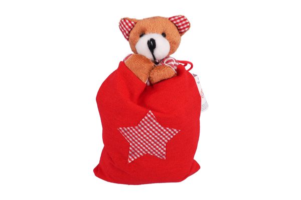 Plüschtier, Bär, Rot, Stern, Tasche
