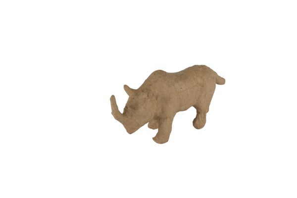 Tier, Bär, Säugetier, Tierwelt