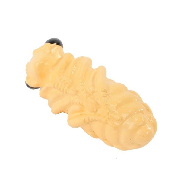 Lebenszyklus-Modell Honigbiene, 4-tlg. Lebenszyklus-Modell Honigbiene, 4-tlg.