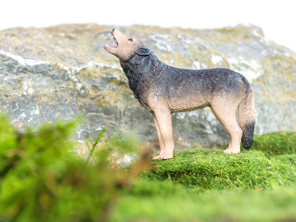 BETZOLD Nordamerikanische Tiere, 12-teiliges Set