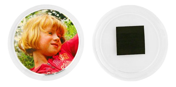 Magnetbutton, 12er Pack