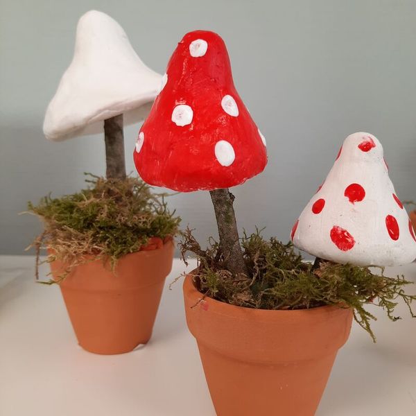 Pilz, roter Hut, Pünktchenmuster, Topfpflanze, Miniatur