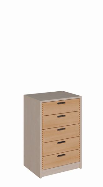 Schrank mit 5 Massivholzschüben (B/H/T: 52 x 80 x 40 cm)