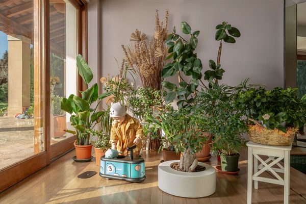Kinder, Gartenstuhl, Topfpflanze, Pflanzenlager, Spielzeugauto