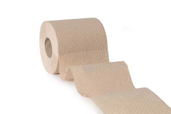 GREEN HYGIENE Toilettenpapier ROLF, kompakt, beige, 2-lagig, 300 Blatt, 48 Rollen