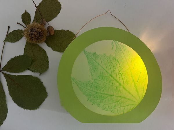 Laternen-Rohlinge rund, Fotokarton, "Farbe wählbar", Ø 22 cm, 5 Stück