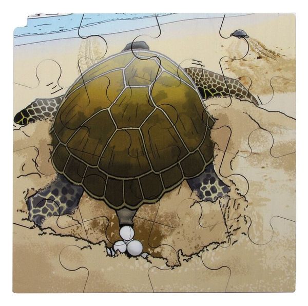 Circle of life Puzzle, Schildkröte, Holz, 4 Puzzle, ab 3 Jahre Circle of life Puzzle, Schildkröte, Holz, 4 Puzzle, ab 3 Jahre