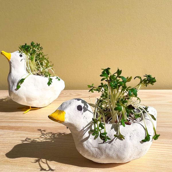 CREALL Lufthärtende Modelliermasse, weiß, 1 kg CREALL Lufthärtende Modelliermasse, weiß, 1 kg