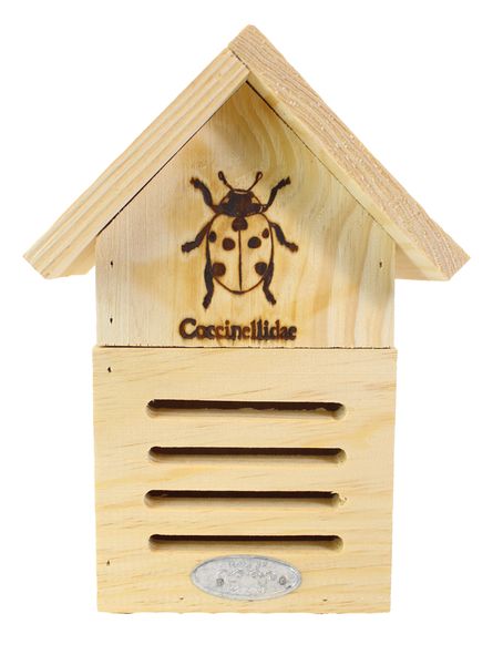 holzspielzeug, bienenhaus, holzfigur, insektenkasten, spielzeug