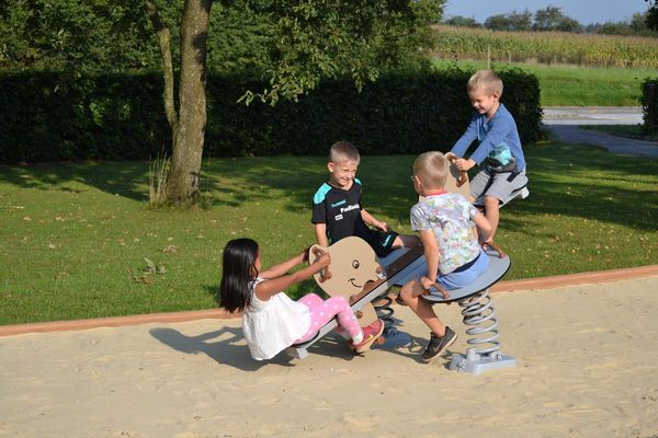 LEDON 4er Elefantenwippe
