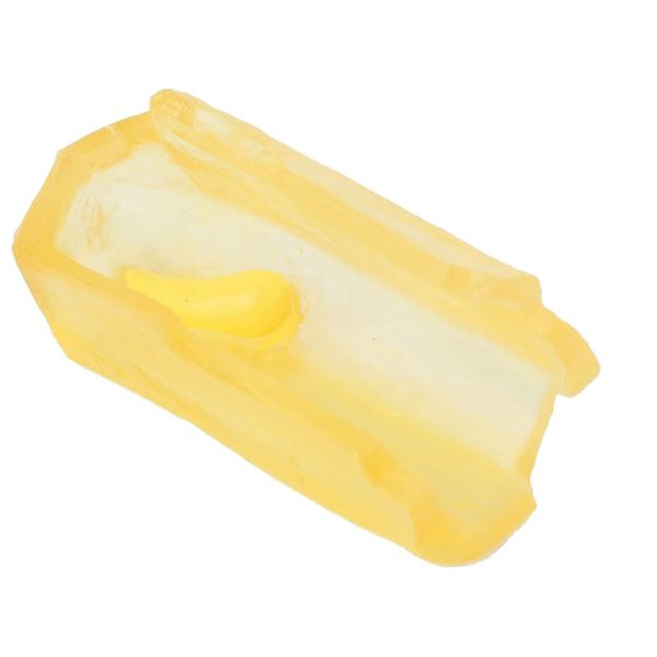 Lebenszyklus-Modell Honigbiene, 4-tlg. Lebenszyklus-Modell Honigbiene, 4-tlg.