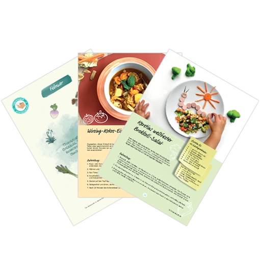 Darstellung des Rezeptheftes