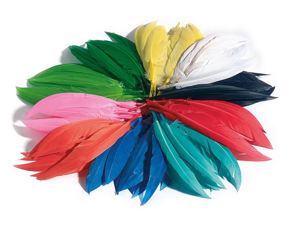 FOLIA Große Federn, bunt, 100 g