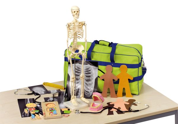 medizinische Ausrüstung, Schreibtisch, Schädelmodell, Skelettmodell, Anatomie-Training